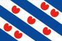 vlag-friesland-gastenvlag-friese-vlag